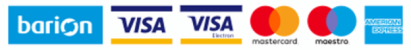 VISA LOGO